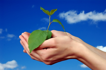 Marvin-LeBlanc-abundance